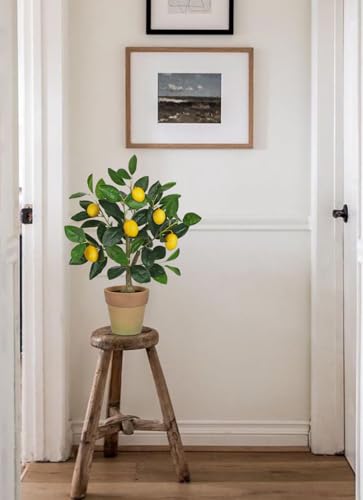 Oairse Artificial Potted Plants 19.7 inches Small Fake Lemon Tree Artificial Lemons Citrus Tree with Terracotta Pot Faux Plants Indoor Lemon Decorations for Home,Office, Living Room Table, Desk - style: Terracotta Pot