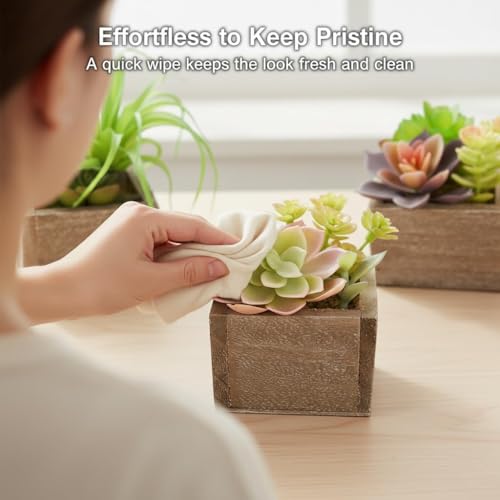 Artificial Succulents Indoor, Set of 3 Mini Potted Greenery in Rustic Wood Planters, Tabletop Accent for Office, Bathroom Shelf, Home Decor - color: Organic