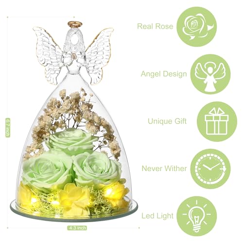 Mothers Day Rose Gifts for Women Preserved Flowers in Glass Angel Forever Flowers Gifts Eternal Roses Gifts for Grandma, Green - color: Green