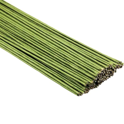 50 PCS Floral Wire 2 Gauge Green Floral Paper Wrapped Wire 16 inch/40cm Crafts Florist Stems for Flower Arrangement Supplies Crafts Bouquet Stem Wreath Making (Diameter 2mm) - color: 50 pcs 2Gauge Paper Wrapped Wire 40cm