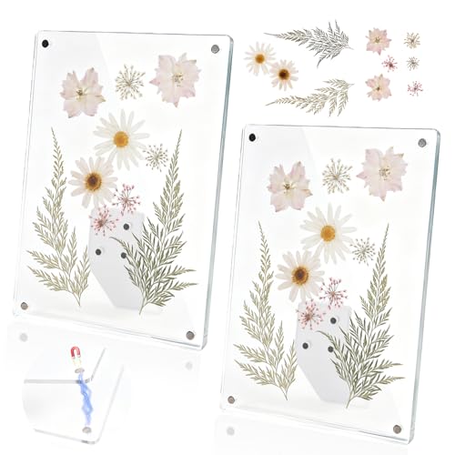 Clear Acrylic Magnetic Pressed Flower Frame, Double Panel Floating Frame for Dried Flower Display, Easy-Open Magnetic Acrylic for DIY Art, Home & Office Wall Décor Gift(Transparent 2Pcs, 6X8in) - size: 6X8in