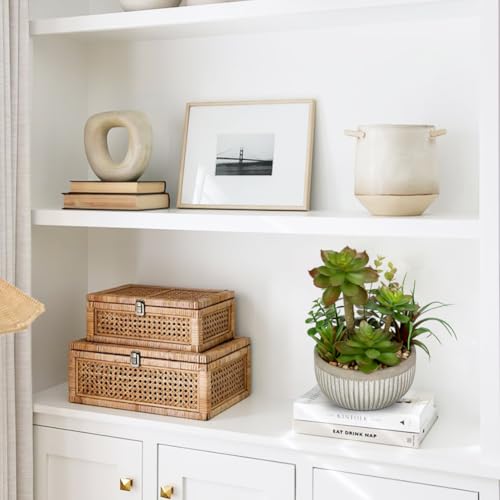 DILATATA Small Faux Plant Assorted Fake Succulents Plants Faux Succulents Arrangement Cement Potted Desk Plants Small Fake Plants for Home Table Office Bathroom Shelf Living Room Decor - color: Grey#01