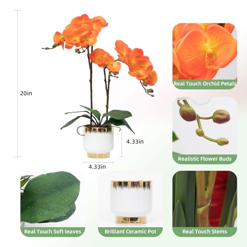 CXGS Orchids Artificial Flowers Real Touch Fake Flowers in Ceramic Pot 20" Orange Faux Orchid Plant Lifelike Silk Phalaenopsis for Centerpiece Hotel Home Indoor Decor - color: Orange- White Gold Vase