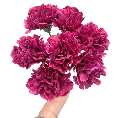 Rikyo 11 Inch Bouquets 10 Stem Rose Red Carnations,Outdoor UV Resistant No Fade Artificial Flower,Mini Carnation Silk Petals Fake Flowers Forever Plants for Photo Props Home Party and Wedding Decor - color: Rose Red