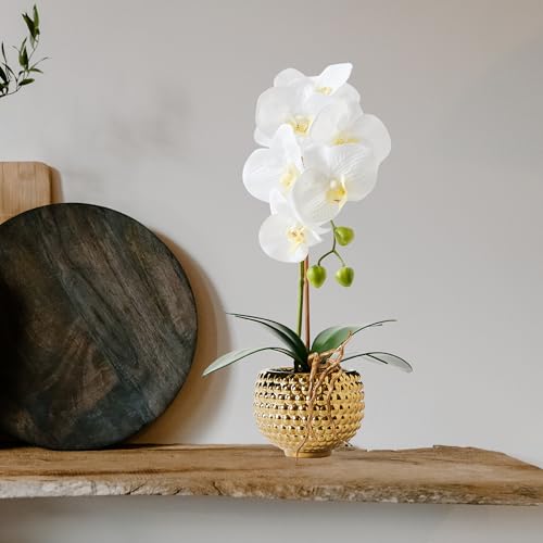 Orchids Artificial Flowers, 15" Faux Orchid in Gold Flower Pot Real Touch Flowers in Pot Large Flower Arrangements Artificial Centerpiece for Home Living Room Bathroom Kitchen Decoration (White) - color: White