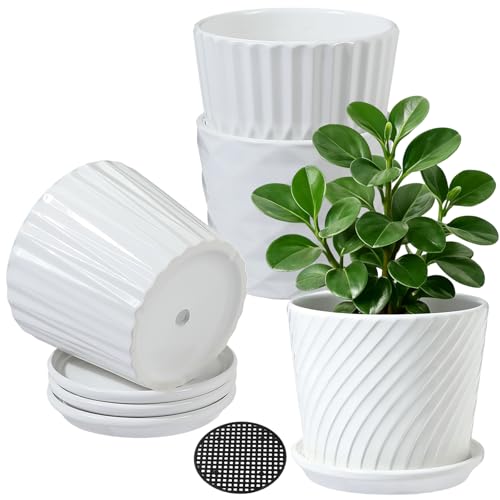 sietpoek Plant Pots - 5.5 Inch Cylinder Ceramic Planters with Connected Saucer, Pots for Succuelnt and Little Snake Plants, Set of 4, White - size: 5.5 Inch