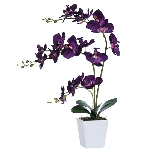 Faux Orchid in Vase Artificial Orchid in Ceramic Vase Tall Silk Orchids with Stems Real Look Phalaenopsis Flowers Arrangement Centerpiece Table Decorations for Home Decor Indoor, Dark Purple - color: Y-dark Purple