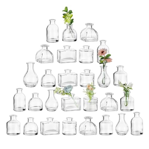 Glasseam Clear Glass Vases for Centerpieces: Mini Flower Vase Set 28Pcs Bud Vases in Bulk - Modern Small Vases for Home Room Wedding Party Dining Table Center Decor - size: 28Pcs-mini vases