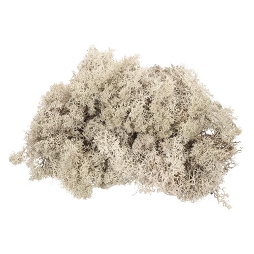 MECCANIXITY 3oz Preserved Reindeer Moss, Brown Decorative Artificial Fake Moss for Potted Plants Indoor Crafts Lichen Centerpieces Decor - color: Brown, size: 3oz