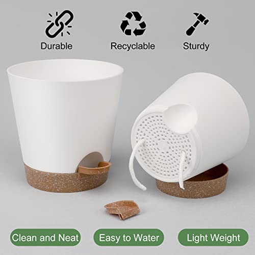 YNNICO Indoor Self Watering Planters with Drainage Holes and Saucers, 8, 7, 6.5, 6, 5.5, 5 Inches, White, 6 Pots - color: White, size: 8+7+6.5+6+5.5+5 inch