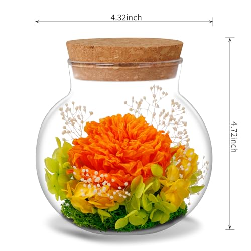 NATROSES Christmas Birthday Gifts for Women - Handmade Preserved Flowers Wish Bottle for Valentine's Day, Mother's Day, Anniversary, Home Decor (Orange) - color: Orange