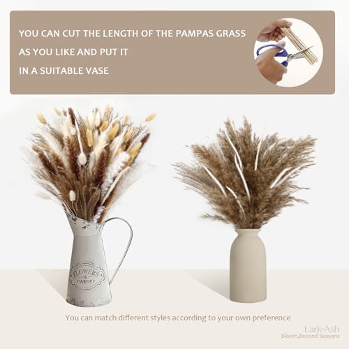480 Stems Dried Pampas Grass Decor-Bulk Pampas Grass,Bunny Tail,Reed,Fluffy Pompas Grass.Boho Flower Bouquets for Wedding,Spring,Table Vase,Farmhouse Decor,Living Room,Beach,Apartment and Boho Decor - size: 480 Pcs