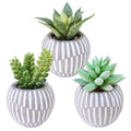 Winlyn Set of 3 Artificial Succulents Plants in Mini Gray and White Geometric Cement Pots Faux Potted Plants Aloe Pachyphytum Succulent Donkey Tail Small Plant for Home Office Table Shelf - color: Gray Pots