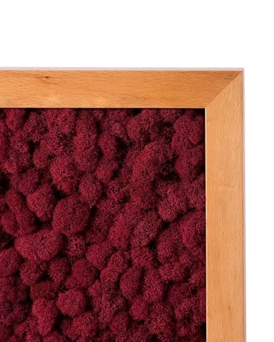 SuperMoss 7 59834 21785 5 Reindeer Moss Preserved, Appx. 3 lb Bulk Case, Red - color: Red, size: Appx. 3 lb Bulk Case