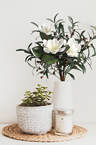 White Silk Magnolia Flowers with Olive Branches for Vases Real Touch White Flower Combo Artificial Olive Branches 30" Long Stem Artificial Flowers for Tall Vase Home Decor Indoor (White)