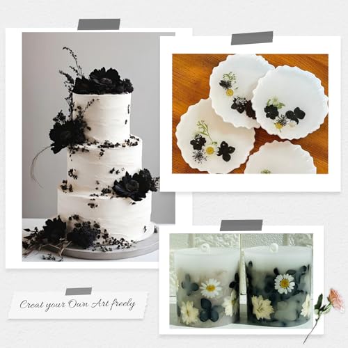 78 Pcs Black and White Dried Pressed Flowers with Tweezer, Halloween Themed Real Dried Flowers Leaves for DIY Crafts Resin Molds, Dried Flowers for Autumn Halloween Decorations - size: Black