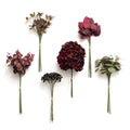 Ling's moment Artificial Greenery Stems Box Set, Faux Greenery Picks for DIY Bridal Bouquets Wedding Floral Arrangement Table Centerpieces, Burgundy & Dark Red - color: Season Combo- Early Winter