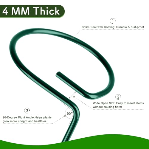 FEED GARDEN 16 Inch 12 Pack Plant Support Stakes, Metal Garden Flower Stakes and Supports for Outdoor Plants, Plant Stem Support with 24 Twist Ties for Amaryllis Lily Rose Peony Tomatoes Gladiolus - size: 16 Inch