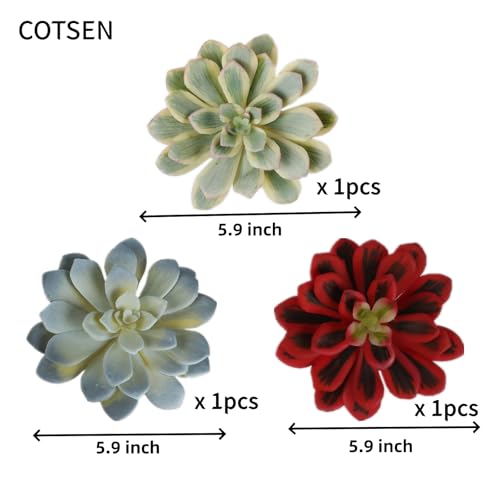 COTSEN 3 Pcs 5.9inch Artificial Succulents Plants Unpotted Assorted Fake Succulents for Office Family Garden Decor