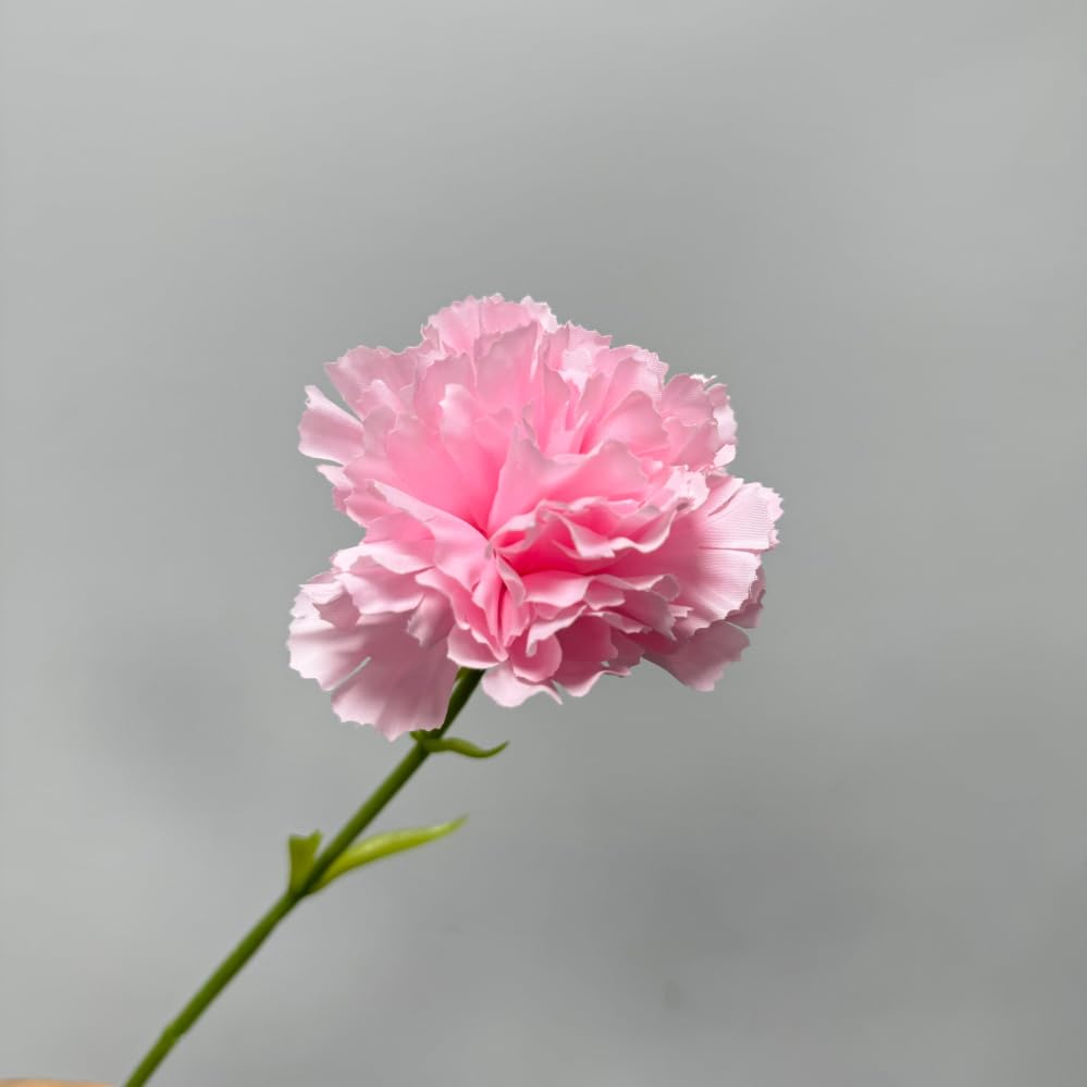 Rikyo 11 Inch Bouquets 10 Stem Artificial Pink Carnations,Outdoor No Fade Artificial Flower,Mini Carnation Silk Petals Fake Flowers Forever Plants for Home Party and Wedding Holding Flowers - color: Pink