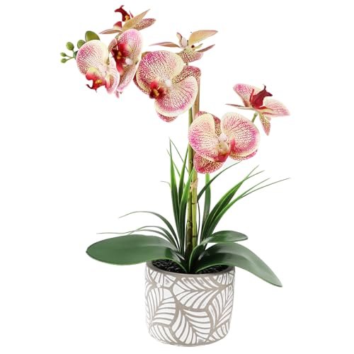 Orchid Artificial Flowers 16" Purple Red Fake Orchid Flowers in White Ceramic Pot Faux Orchid Plant for Home Decor Office Bathroom Table Centerpiece Indoor(Purple-Red Dapple) - color: Purple Dapple-white Patterned