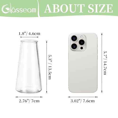 Glasseam Clear Flower Vases for Centerpieces: Modern Glass Vase Set of 24 for Wedding Party Centerpiece Home Table Decor 5.5In Small Bud Vases for Flowers Rose Tulip Stems - size: Clear-24pcs