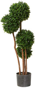 Nearly Natural 5486 Boxwood Topiary Artificial Tree UV Resistant, Green 13 x 13 x 36