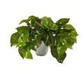 Nearly Natural 9in. Pothos Artificial Plant in White Planter (Real Touch) - size: 1 Count (Pack of 1)