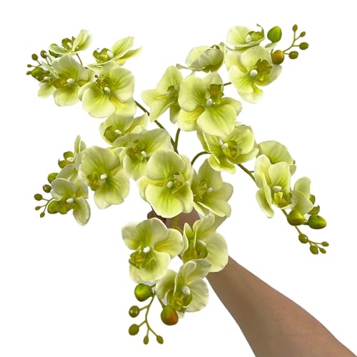 5 Artificial Orchid Flower Stems 18 Inches Real Touch Faux Phalaenopsis Stems Fake Orchid Flowers Arrange for Wedding Bridal Bouquets Home Office Indoor Decorations (Green) - color: Green