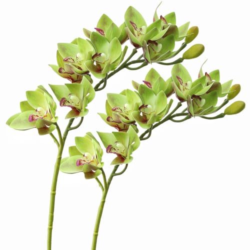 XIYUAN 28.5inch Artificial Phalaenopsis Flowers 2 Bunch 10 Large Petals Orchids Fake Cymbidium Flowers Artificial Orchid Flowers Stem Plants Latex Phalaenopsis Branches for Home Décor (Green) - color: Green 10 Heads