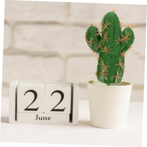 Toddmomy 3pcs Faux Cactus Figurine Realistic Landscape Decor for Home Office Bonsai for Cozy Ambiance and Unique Adornment Simulated Plant Decoration