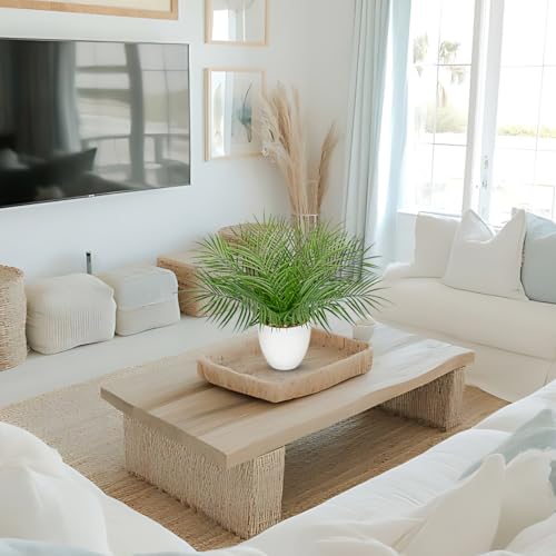 Briful Artificial Palm Plant in White Pot, 18” Faux Tropical Tabletop Plant with 14 Realistic Leaves, Small Potted Palm Tree for Farmhouse, Coffee Table, Entryway, Bathroom, Shelf & Living Room Decor - color: 18'' Tall White