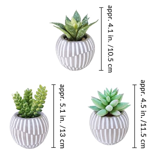 Winlyn Set of 3 Artificial Succulents Plants in Mini Gray and White Geometric Cement Pots Faux Potted Plants Aloe Pachyphytum Succulent Donkey Tail Small Plant for Home Office Table Shelf - color: Gray Pots