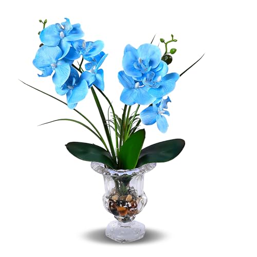 Jusdreen Artificial Blue Orchid in Glass Vase, Realistic Phalaenopsis Arrangement with Potting for Home Office Table Decor, 14.5 Inch Orchid Centerpiece - color: Wine Glass-blue