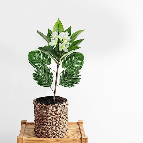 Crowye 10 Pcs Safari Decorations Include 2 Artificial Plumeria Frangipani Flower Bouquets 4 Artificial Palm Leaves with Faux Stems Tropical Plant Leaves 4 Fake Monstera Leaves Safari Leaves for Luau