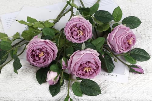 Real Touch Purple Austin Roses Peonies Artificial Flowers 4 Bouquets Latex Fake Peonies with Long Stem Realistic Faux Peonies for Wedding Party Home Table Centerpieces Decor (Deep Purple) - color: Deep Purple