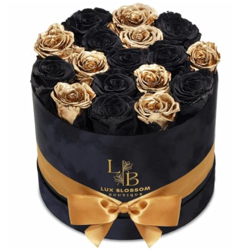 17 Black & Gold Forever Roses, Velvet Box - Luxury Black Roses, Graduation Flowers, Golden Roses, Preserved Rose Gifts for Women, Flowers for Teacher, Black Roses for Delivery Prime
