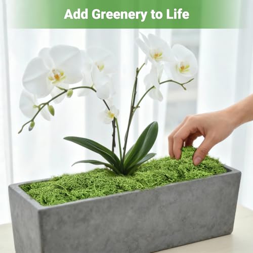 Artificial Green Moss for Potted Plants, 24.7 oz Fake Moss Decor for Indoor Plants, Glass Containers, Wedding, Gardens, DIY Crafts (Light Green)