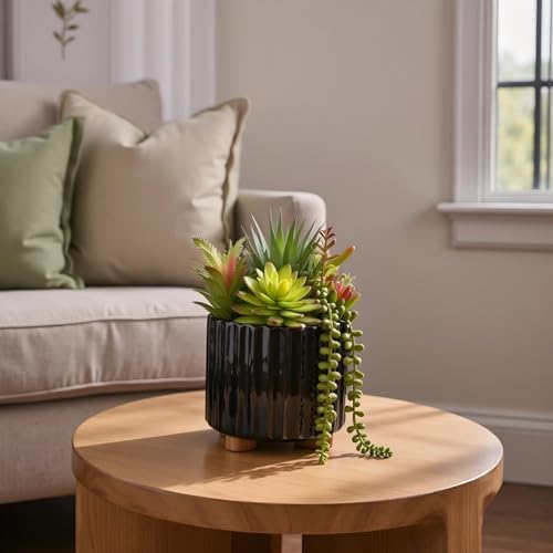 8 Inch Fake Plants Artificial Succulent Plants，Black Ceramic Flower Pot，Assorted Faux Mini Succulents in a Decorative Planter Pot. - color: Black