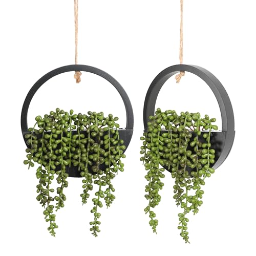 Floweroyal 2pcs Artificial Succulents Hanging Plants 20.1'' Fake String of Pearls in Pot with 9.4'' Lanyard for Indoor Outdoor Wall Decor (Black) - color: Black-large-2pcs