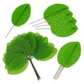 200 Pcs Green Silk Artificial Leaves - Fake, Faux Wired Single Leaf - Wire Crafts Leaves - Plastic - For DIY Bouquet, Wreaths, Wedding, Christmas - color: Green