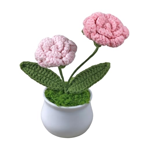 Joekaran Crochet Flowers Cute Little Potted Flower, Birthday Gifts for Women, Mother's Day, Teacher’s Day, Graduation, Anniversary, Desk Decor, Home Office Decoration (Pink Gradient Rose) - color: Pink Gradient Rose