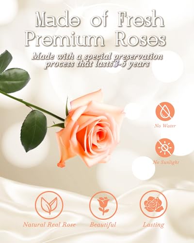 HVY Preserved Flowers Bouquet for Her,Forever Flowers Fresh Bouquet Mothers Day Birthday Gifts for Mom Preserved Rose Gifts for Women Wife Girlfriend Red Eternal Rose Present - color: Champagne Rose