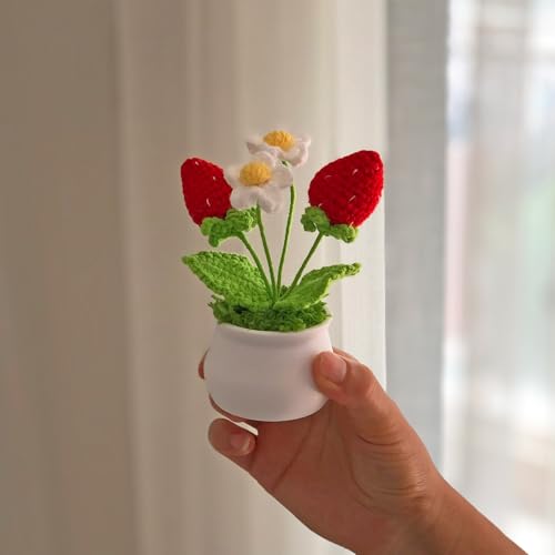 Joekaran Crochet Flowers Cute Little Potted Flower, Gift for Birthday, Teacher’s Day, Graduation, Anniversary, Christmas, Decor for Car Dashboard,Home Office Decoration (Strawberry) - color: Strawberry