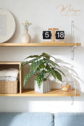 Muhanjia Artificial Potted Plant, Lifelike Faux Greenery in Decorative Cement-Look Square Pot for Indoor Home Decor Centerpieces (Polka Dot Begonia) - color: Polka Dot Begonia