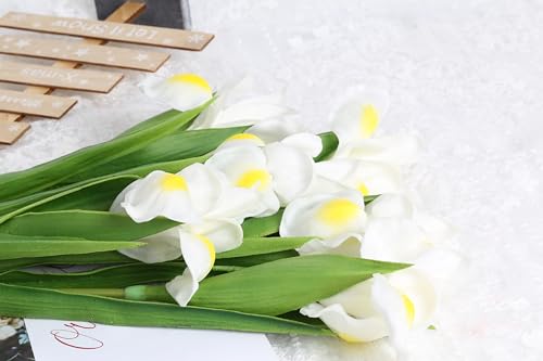 Iris Flowers Artificial 6 PCS Real Touch Flowers 23.22 in Long Stems White Iris Artificial for Wedding Bridal Home Kitchen Party Décor(White) - color: White