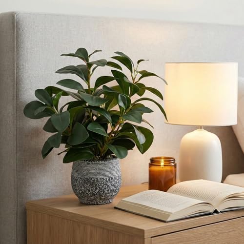 SHOHAYTO Artificial Plants for Home Decor - 13.2 Inch Fake Ficus Tree in Cement Planter, Real Looking Potted Faux Plants for Office Desk, Kitchen Shelf, Bookshelf & Indoor Decor - color: Green Artificial Plants