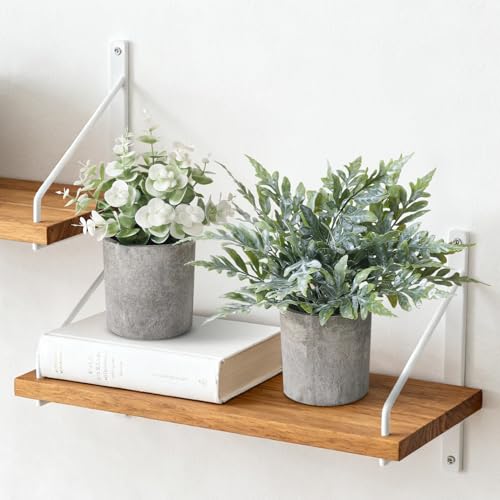 3 Pack Mini Potted Fake Plants Artificial Plastic Indoor Eucalyptus Plants for Home, Office, Desk, Bathroom, Coffee Table & Shelf (Green) - color: Green