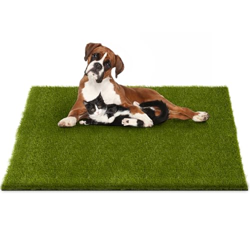 CooRug Fake Grass, 39 x 31 Inches Artificial Grass for Dogs, Realistic Turf for Indoor Outdoor Door Mat Balcony Patio Lawn Decoration - size: 39" x 31"