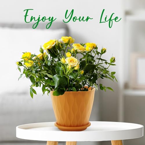 YNNICO 6 inch Plant Pots, 5 Pack Flower Pots Outdoor Indoor, Planters with Drainage Holes and Tray Saucers（Multicolor） - color: Multicolor, size: 6 inch